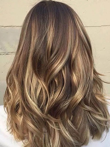 Brown with Buttery Blonde Highlights