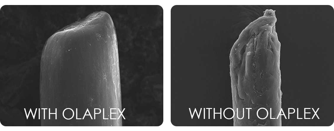 Olaplex hair salon in Exeter