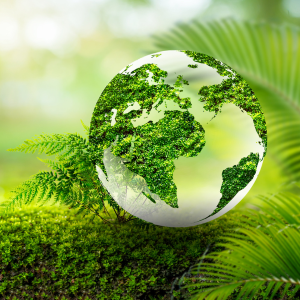Plastic Free July 2025
